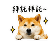 859396001