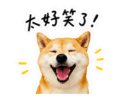 859396002