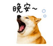 859396007