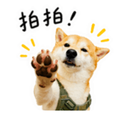859396008
