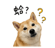 859396016