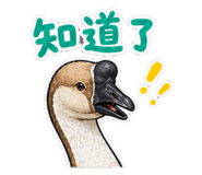 859397738