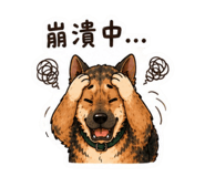 859398137