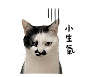 859403986