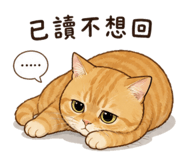859404506