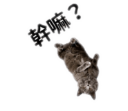 859404795