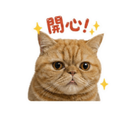 859405050
