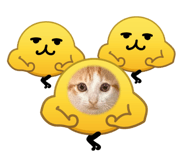 859405988