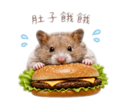 859406263