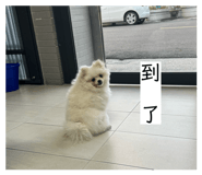 859406671