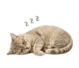 859407859
