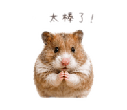 859409139