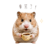 859409144