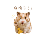 859409147