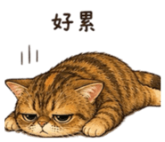 859409555