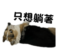 859409665