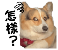 859409666