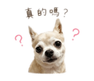 859409810