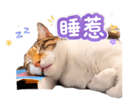 859410152