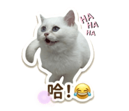 859410449