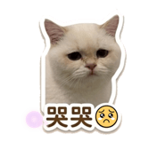 859410451