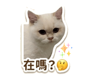 859410454