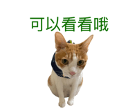 859410973
