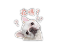 859411386