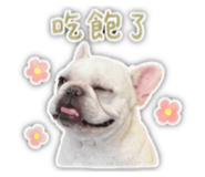 859411391