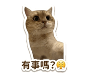 859411649