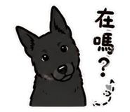 859412225