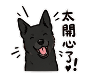 859412229