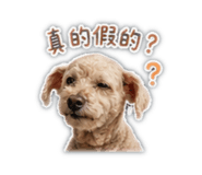 859413300