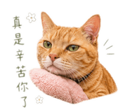 859413456