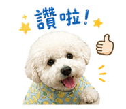 859413759
