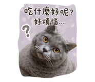 859414147