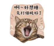 859414150