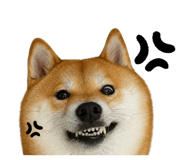 859414823