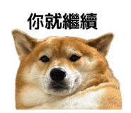 859414826