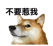 859414827