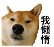 859414828