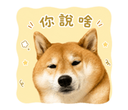 859414831