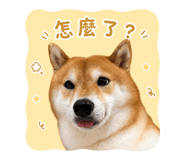859414833