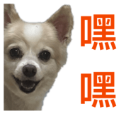 859415237