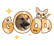 859415244