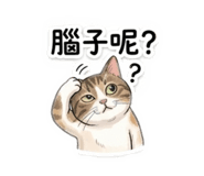 859415709