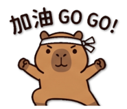 859416545