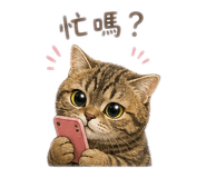 859417614