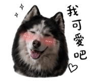 859422435
