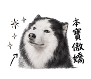 859422439